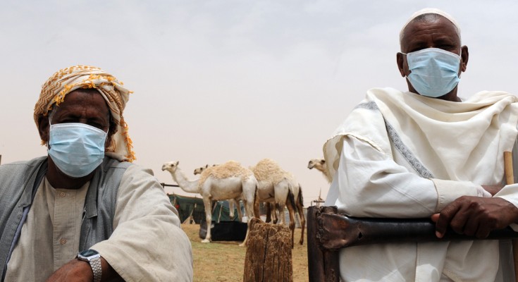 Two people wear face masks as they watch camels at their farm.