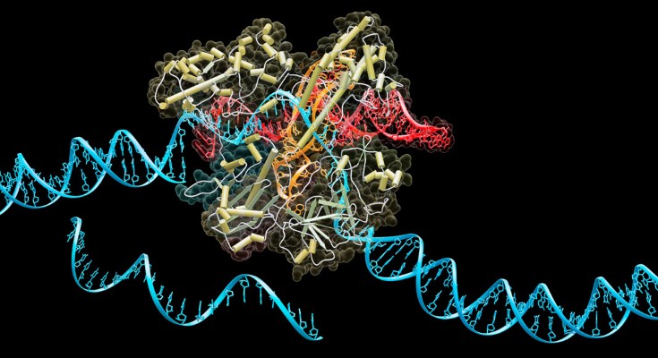 An image of the structure of CRISPR-Cas9 cutting through a DNA sequence
