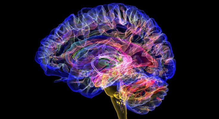science articles magazine A coloured MRI scan of a healthy human brain