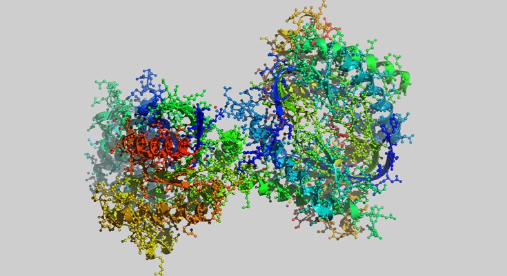 enzyme molecular model