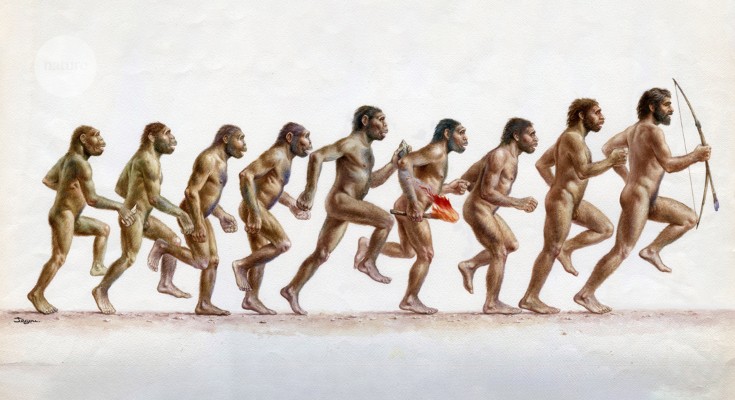 Illustration of human ancestors at different stages of evolution running with Australopithecus afarensis on the far left and homo sapien on the far right