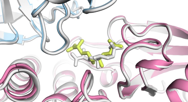 A close up view of detail from a computer render of a AziU3/U2 protein diagram