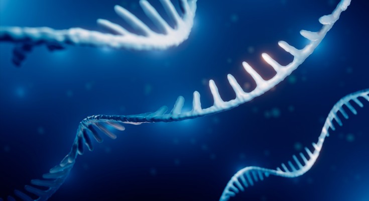 An illustration of RNA strands on a blue background