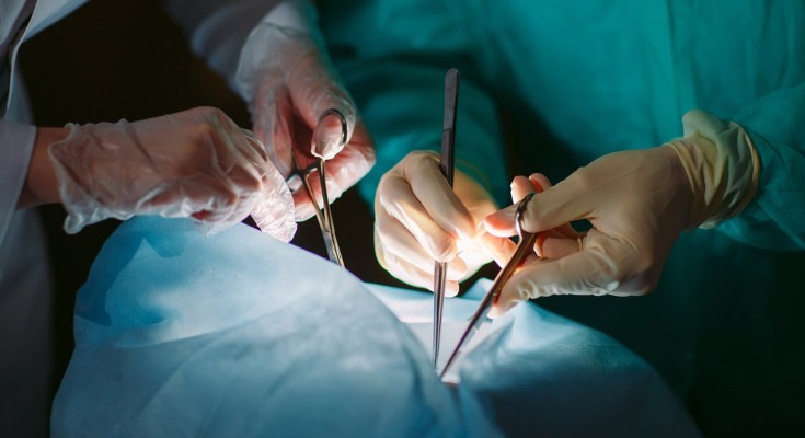 Two pairs of hands wearing gloves hold surgical instruments over a covered figure