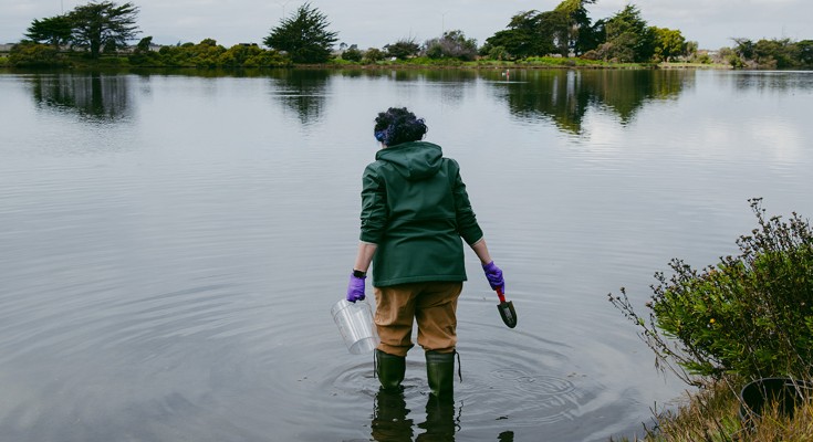 A person stands in a lake with a trowel and a collection tub