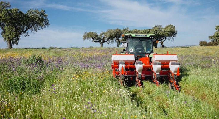 A tractor drives away from the camera in a field full of purple and yellow flowers