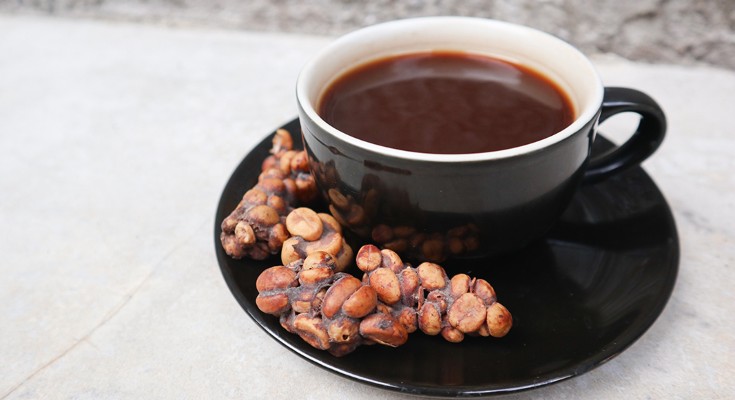 Kopi Luwak coffee bean or Civet coffee beans aside a cup of coffee