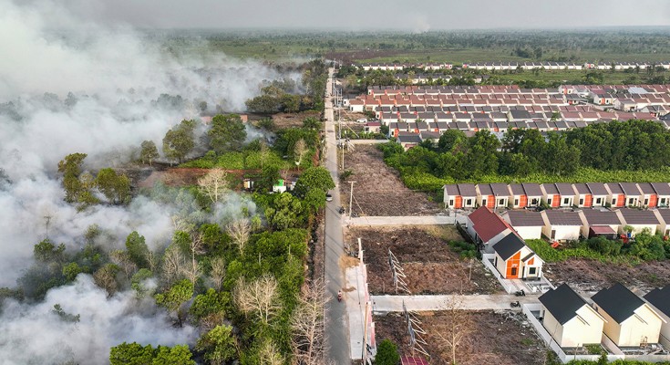Aerial view showing trees burning on the left hand side of a road and on the right hand side new houses in danger of being engulfed in smoke
