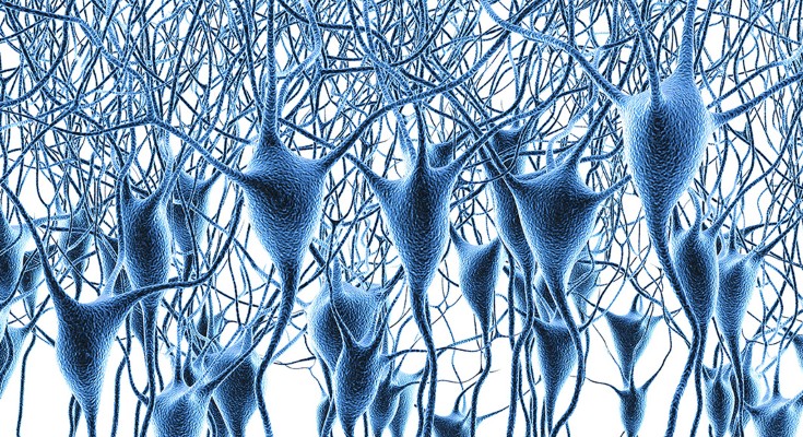3D render of a dense network of neurons on a white background
