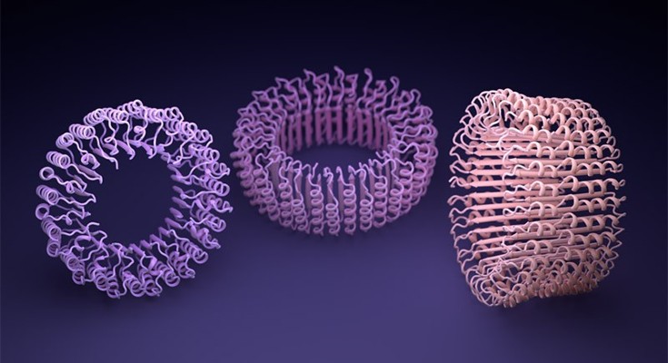 A computer render illustration of hallucinated ring proteins.