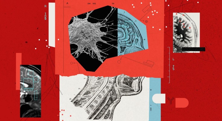 A collage of illustrations of the brain on a red and blue background