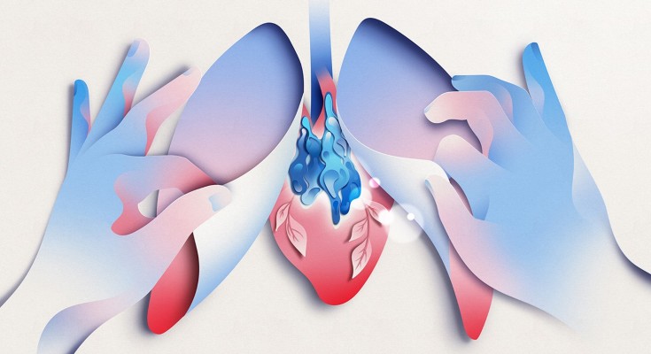 Hands lifting away stylised lungs to reveal the thymus and heart, with new vein growth displayed as leaves