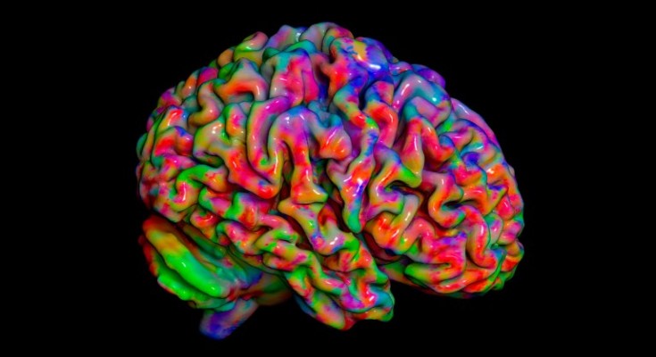 A 3D model of the human brain shown in bright rainbow colours against a black ba