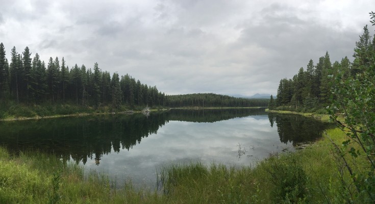 A Canadian lake surround by trees with mountains in the background