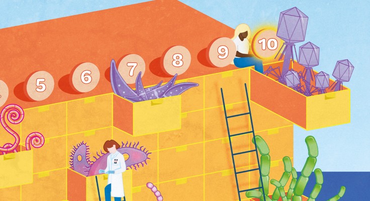 illustrated editors curate filing cabinets wiith drawers of microbes