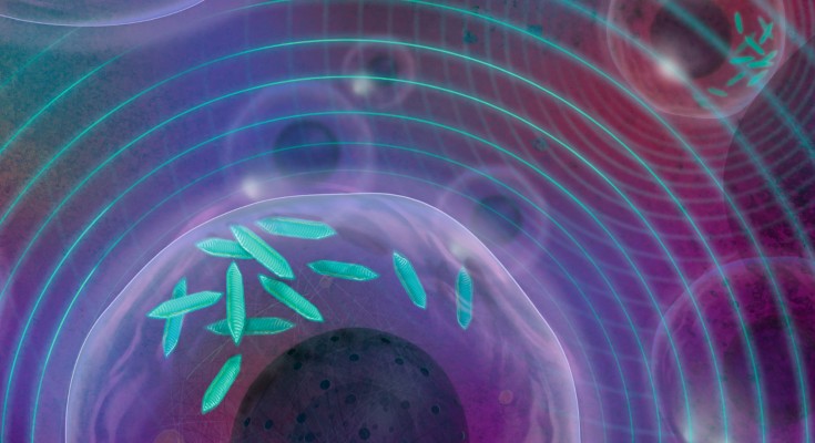 Artistic impression of cells generating sound waves as a result of producing gas vesicles. 