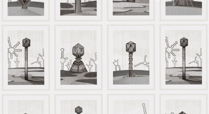  Representations of phages and structures of retrons, noncoding RNA elements from a bacterial immune system.