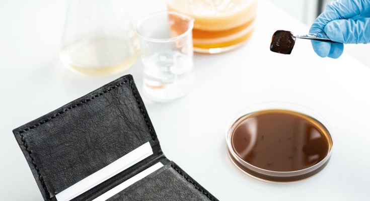 A black, leather-looking wallet made from pressed and dried melanated bacterial cellulose sheets, along with a Petri dish and a small square bacterial cellulose sheet held up by tweezers.