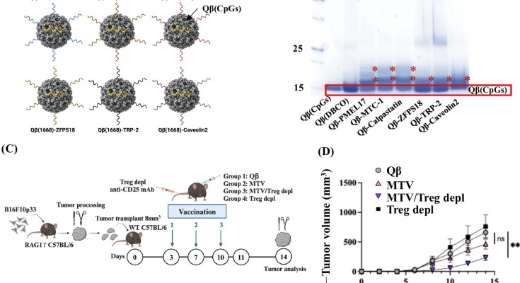 npj Vaccines banner