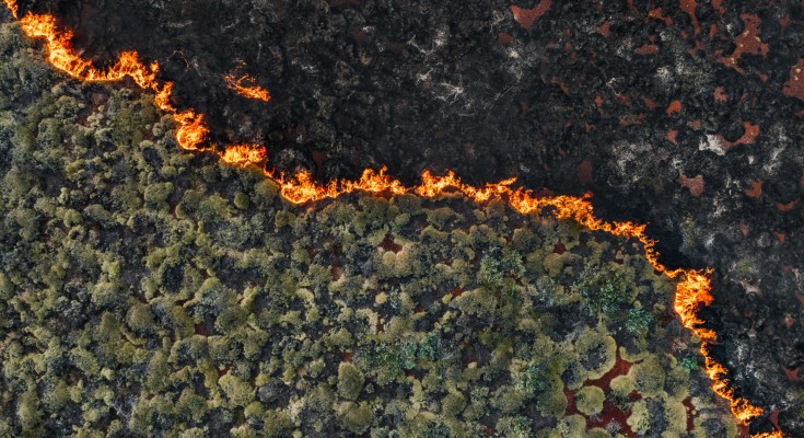 Overhead view of a fire burning a dense forest from the right