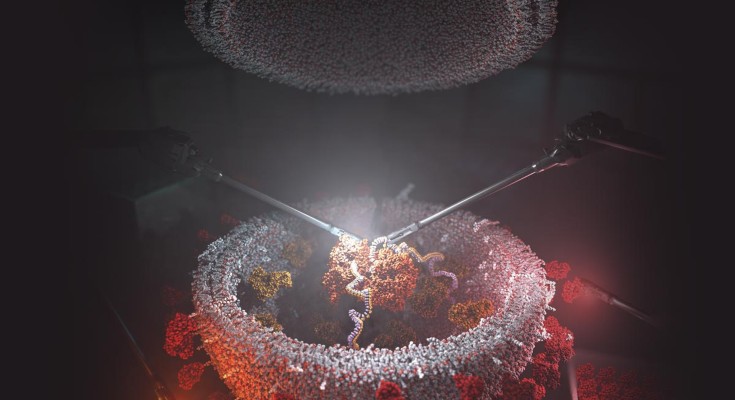 Multifunctional engineered extracellular vesicles