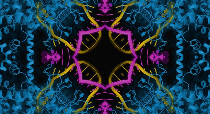 A kaleidoscopic representation of a mirror-image T7 RNA polymerase (the largest protein that has been chemically synthesized to date) 