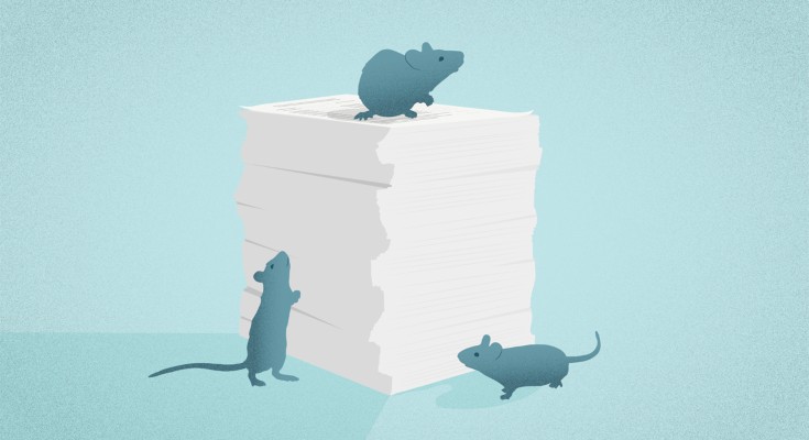 Lab Animal Lab Animal