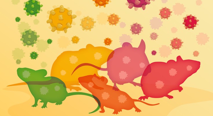 Mice and viruses