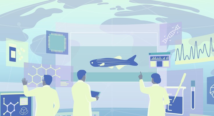 Scientists studying zebrafish