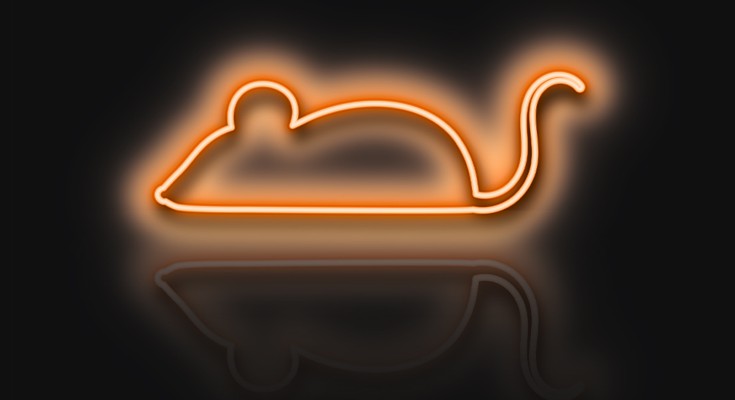A neon light in the shape of a mouse 