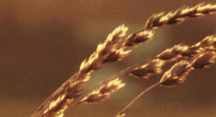 Nature Climate Change