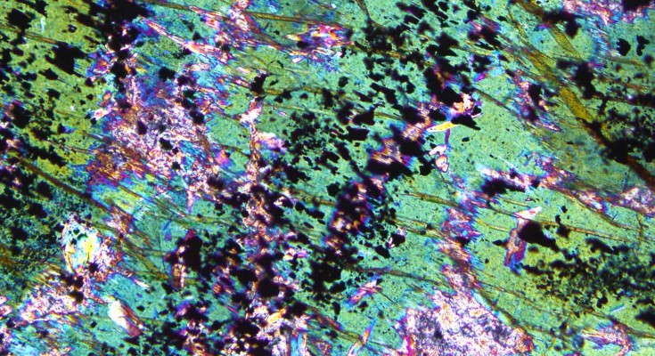 Optical microscope image of an Archean (3.4 billion year old) volcanic rock, known as a komatiite. The opaque black mineral is magnetite, which formed upon rock-water interaction.