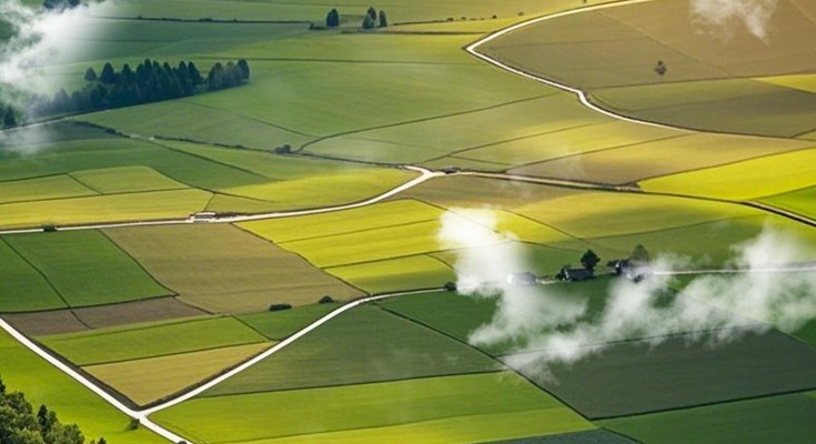 Photo showing cropland