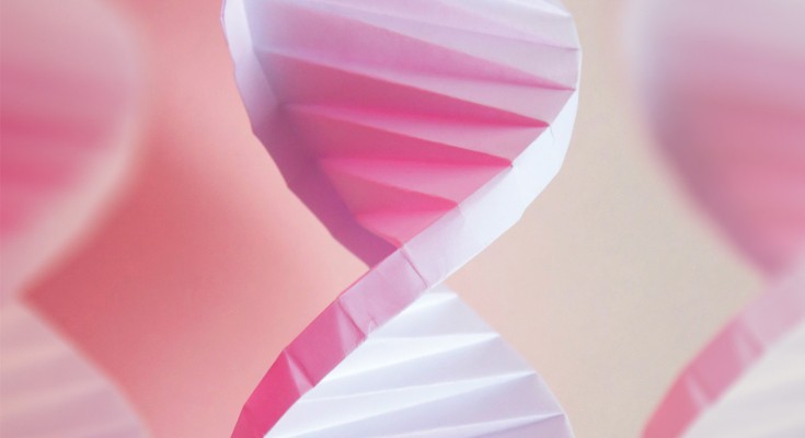pink paper DNA helix