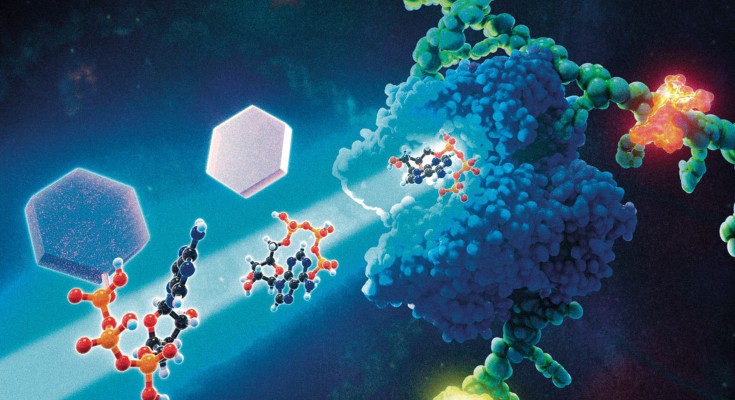 Controlling single molecule reactions using photocaged NTP