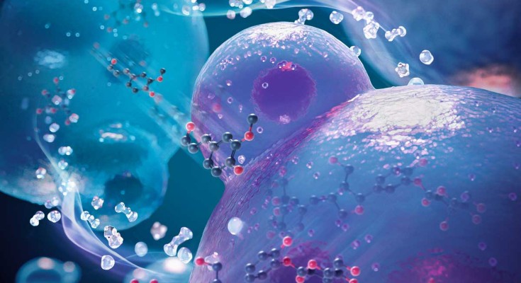 Lignans synthesis by mutualistic yeast consortia
