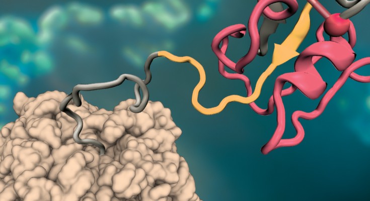 Artistic representation of an enzyme adopting a misfolded structure during the folding process.