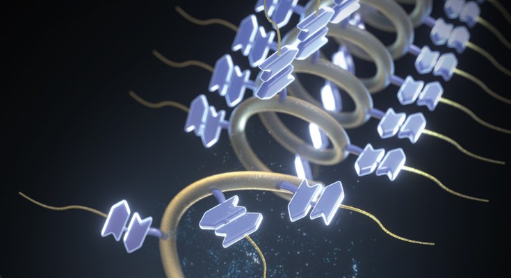 Artistic representation of dual dynamic helical polymer that unfolds to depolymerize into small molecules.