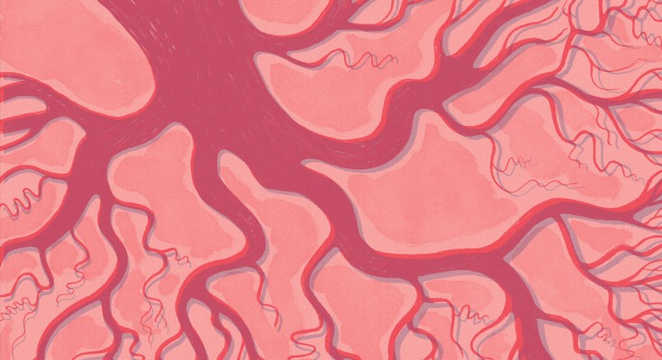 A red branching blood vessel, with the appearance of a river delta, on a pink background.