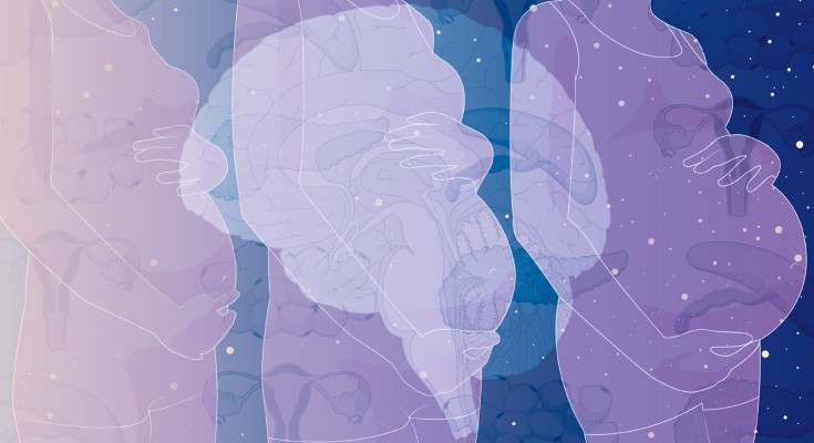 White outlines of three pregnant people against a blue background containing various endocrine organs, with an outline of the brain in the foreground.