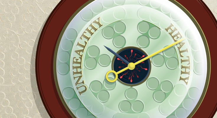 Stylized barometer showing seminiferous tubule cross section and healthy and unhealthy labels