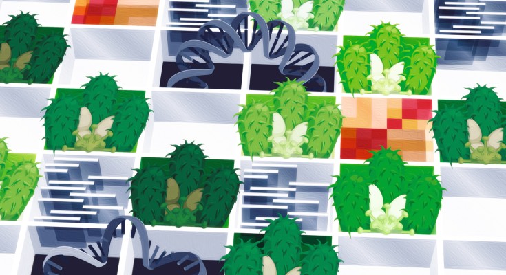 Microbes, sequencing reads, gene expression in little squares
