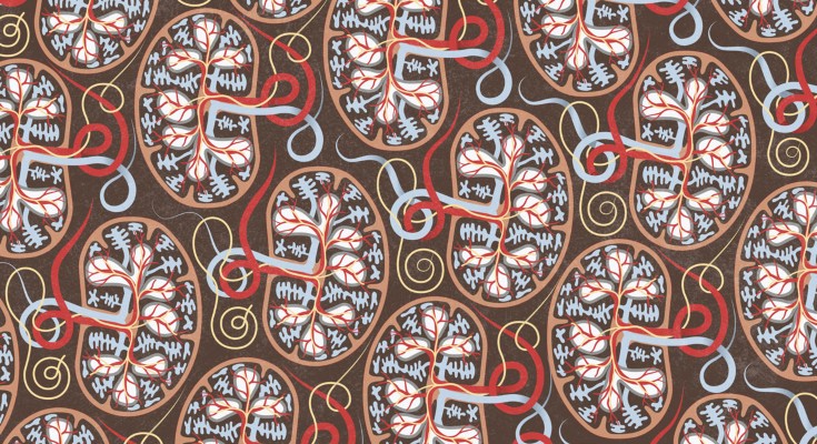 wallpaper showing pattern of spleens