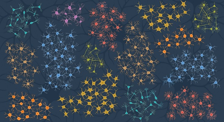 Clusters of different neural cell types resembling a single-cell scatter plot