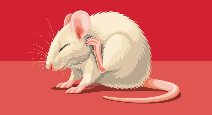 A selection of neuroscience-related images