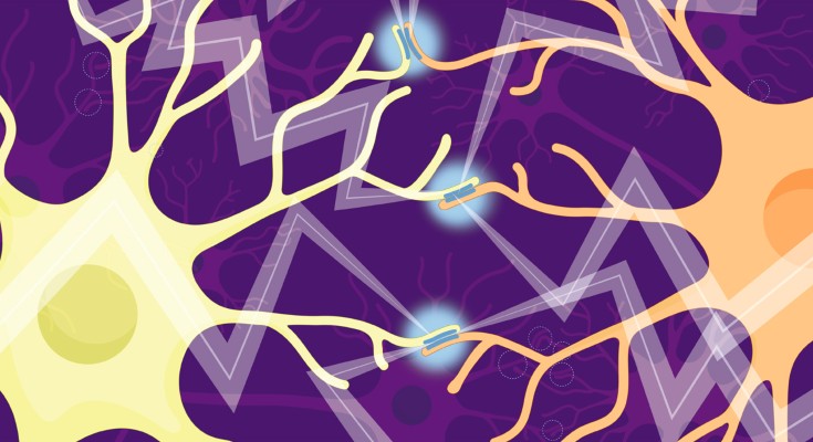A selection of neuroscience-related images