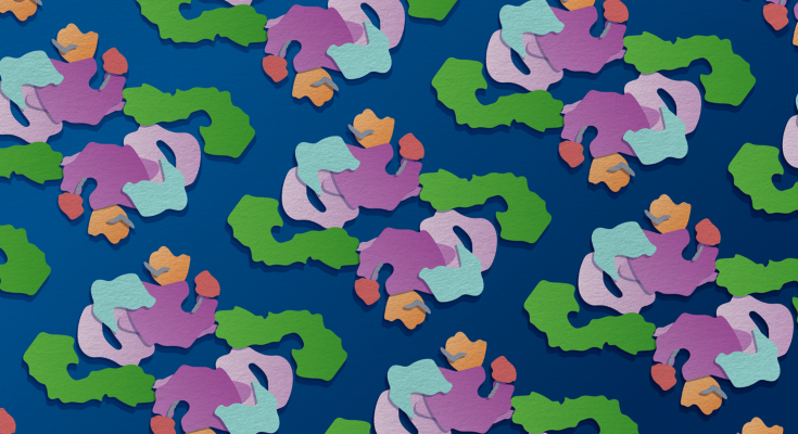 colourful shapes on a blue background representing mTOR complexes