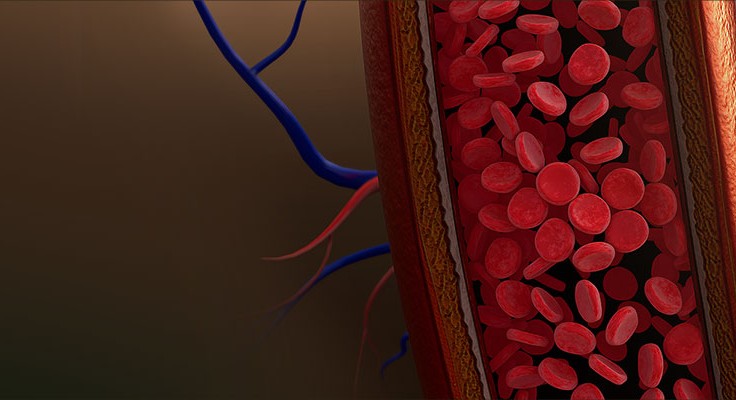 Hypertension Research Banner Image