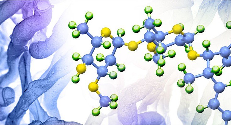 The Journal of Antibiotics banner image