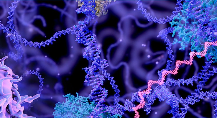 Generic cancer research header image showing cells.
